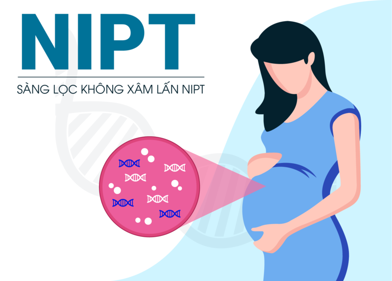 Xét nghiệm Double test và NIPT nhằm phát hiện sớm các nguy cơ dị tật ở thai nhi 