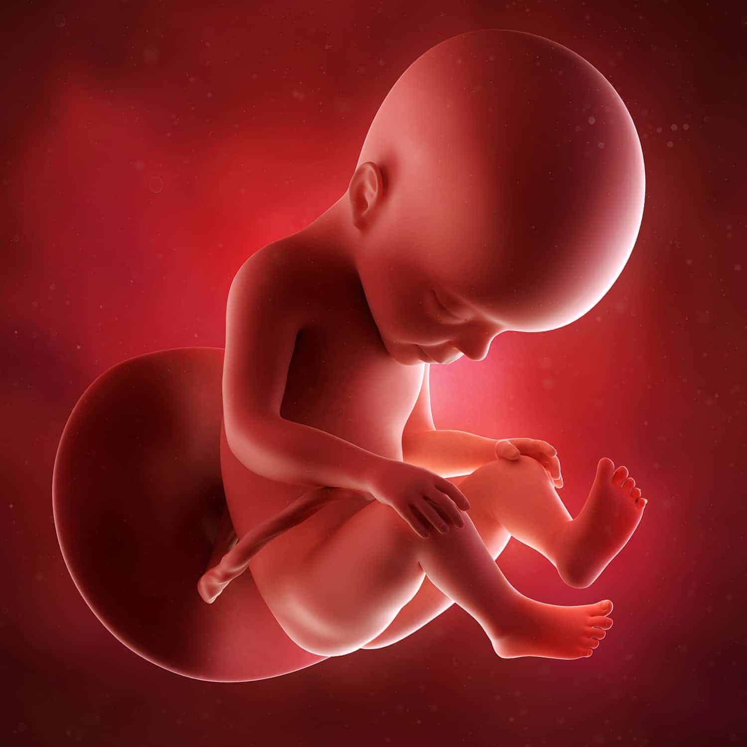 Tại tuần 27, bé hoàn thiện dần về cấu trúc và chức năng các cơ quan trong cơ thể