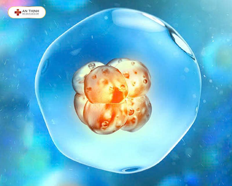 Chất lượng phôi tốt tỷ lệ thành công cao hơn