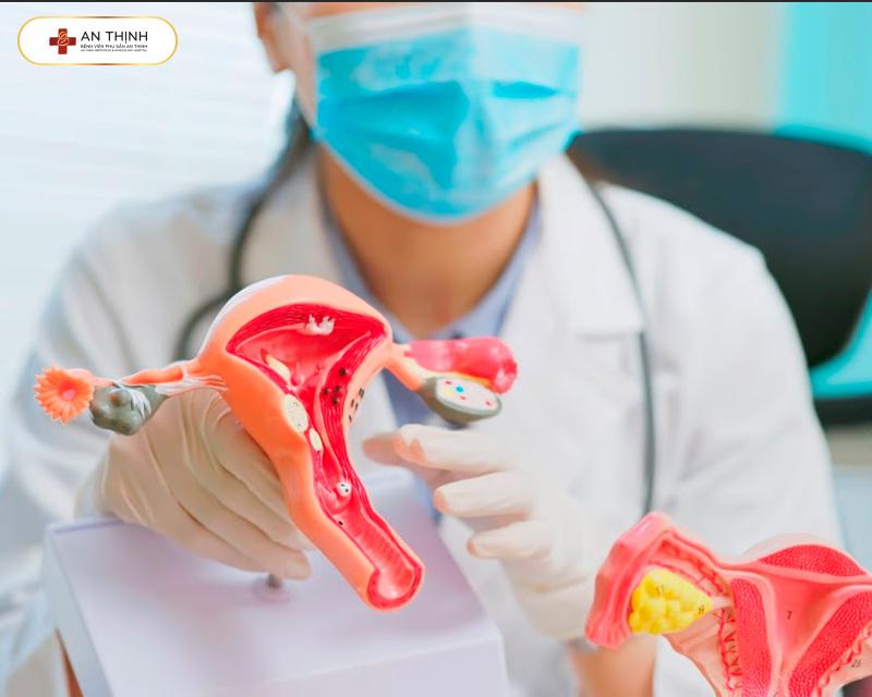 Sức khỏe mẹ tốt, niêm mạc đủ điều kiện mới có thể chuyển phôi tươi