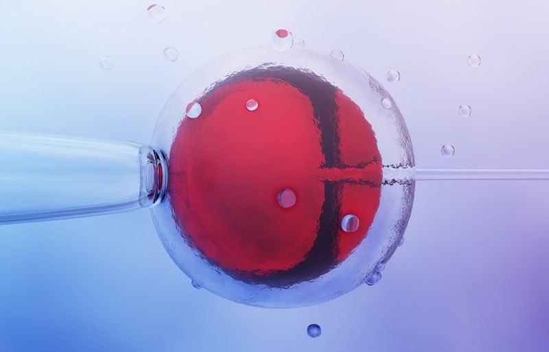 Chi phí làm IVF