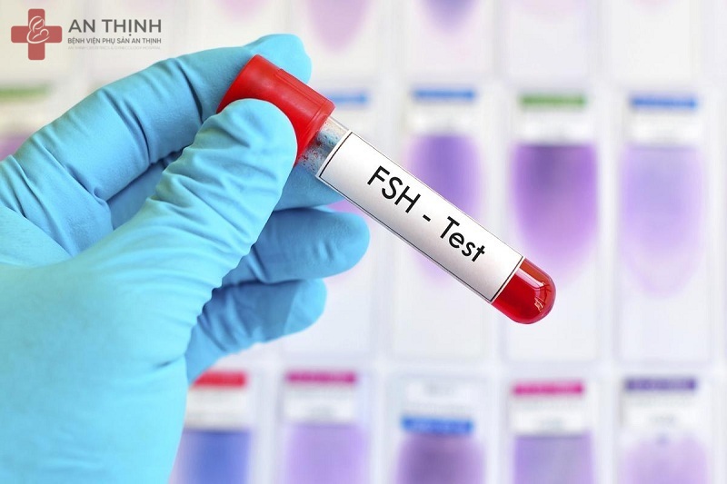 Xét nghiệm nội tiết tố giúp đánh giá cân bằng hormone và khả năng sinh sản của phụ nữ