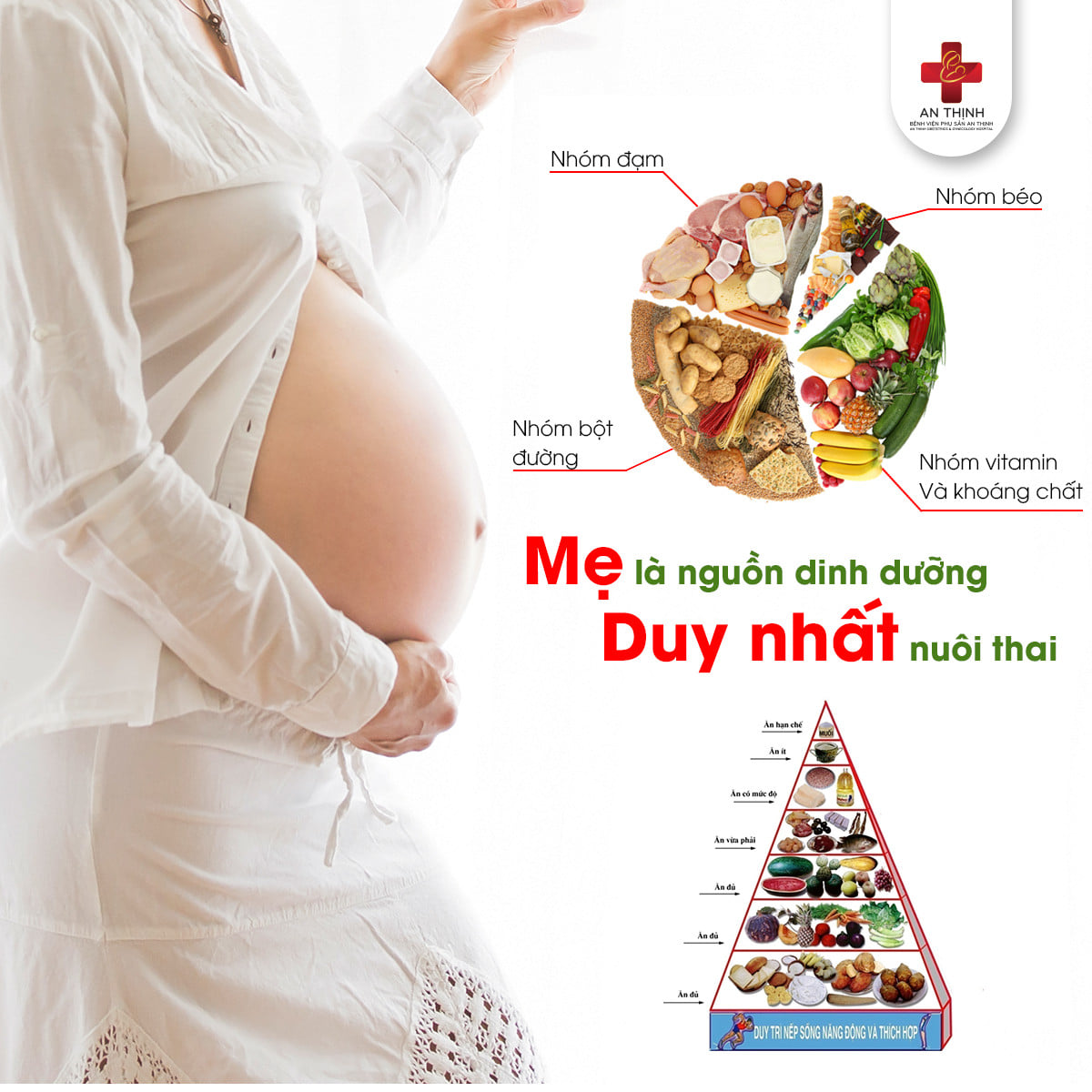 Mẹ là nguồn dinh dưỡng duy nhất cung cấp cho thai nhi 