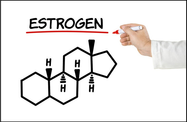 Nồng độ Estrogen cao là nguyên nhân dẫn đến ngực phì đại