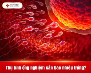 Thụ tinh ống nghiệm cần bao nhiêu trứng để tối đa hóa tỷ lệ thành công