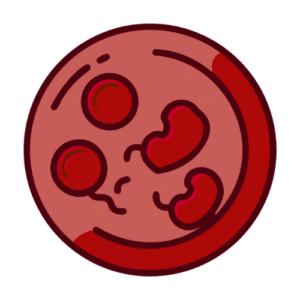 icon nuôi cấy phôi