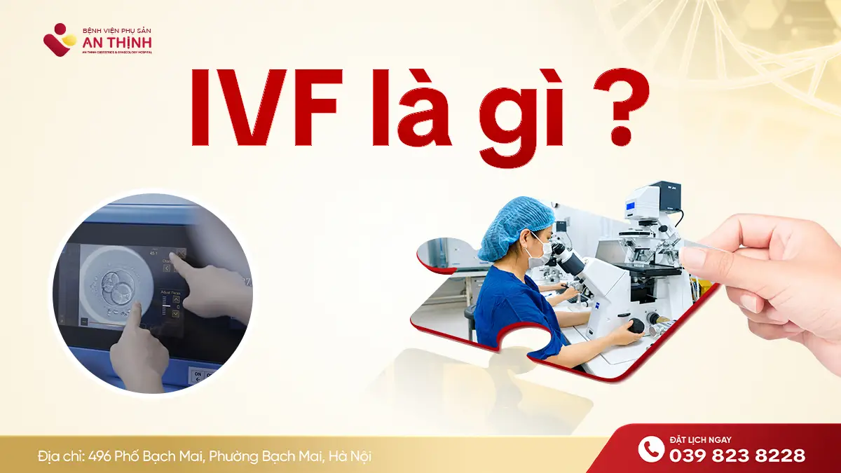 IVF Là Gì? Thụ Tinh Trong Ống Nghiệm Là Gì? Giải Thích Chi Tiết Từ A-Z